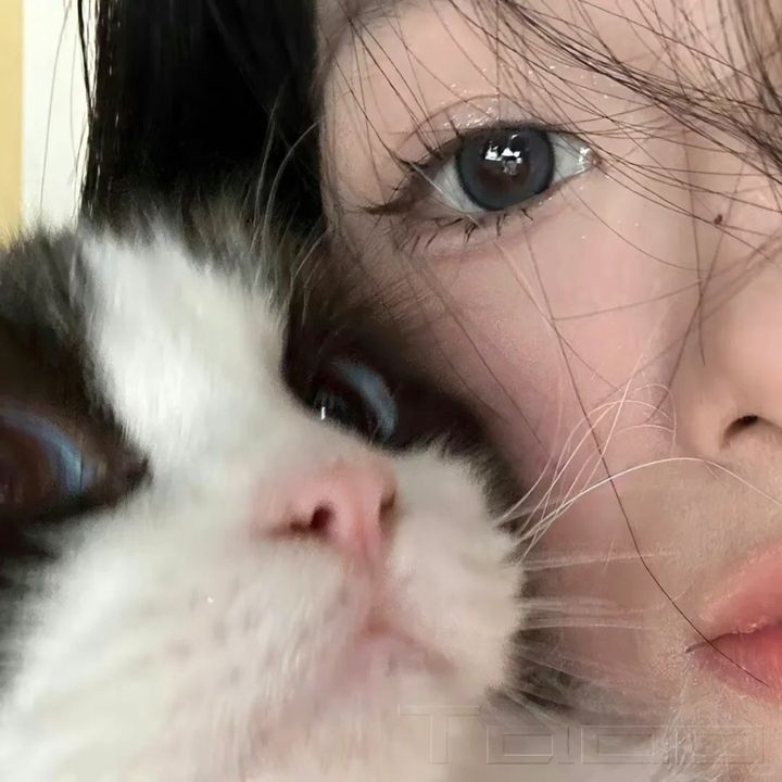 d j j b
