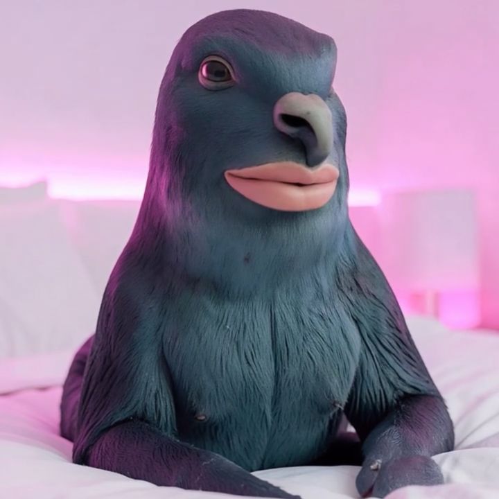 Pigeon CANTINA 🐦‍⬛