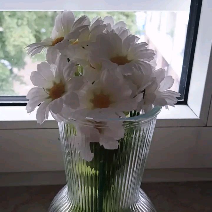الوردة البيضاء