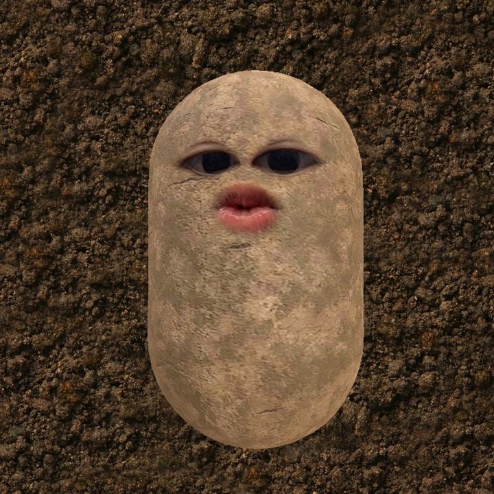 lt.