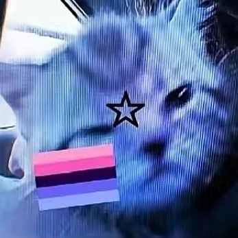 ❤︎ʟᴀʏᴢᴇ_ʀᴀɴᴛs❤︎(alexg ver)10K+