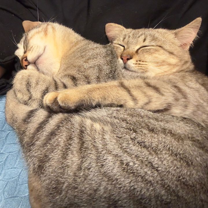 DoLa Lùn & Leo