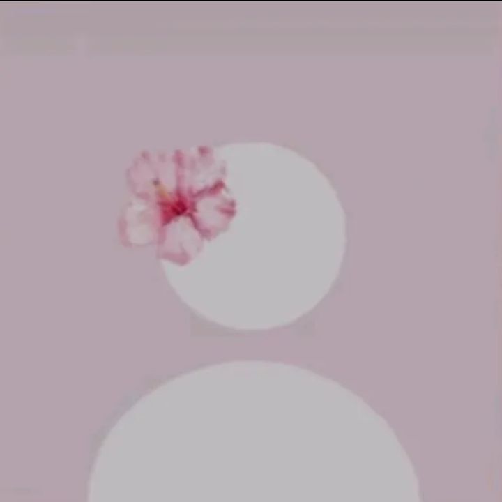 🌺.