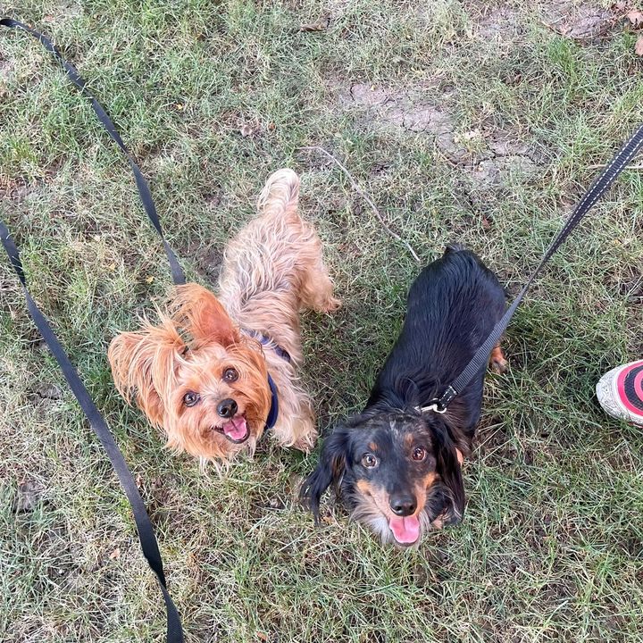 Cleo & Cairo