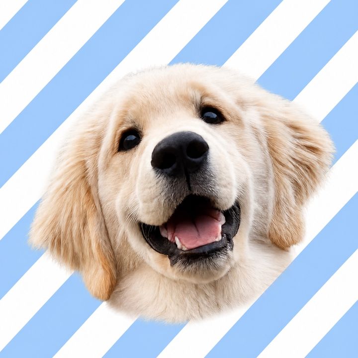 GoldenBoyRalph