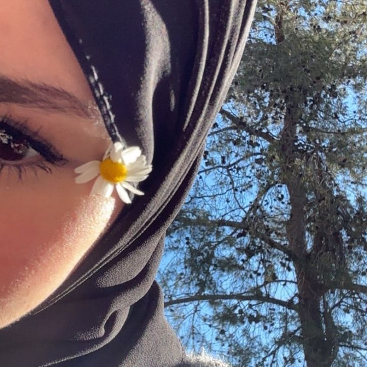 🌺Zina🌹fleur🌼