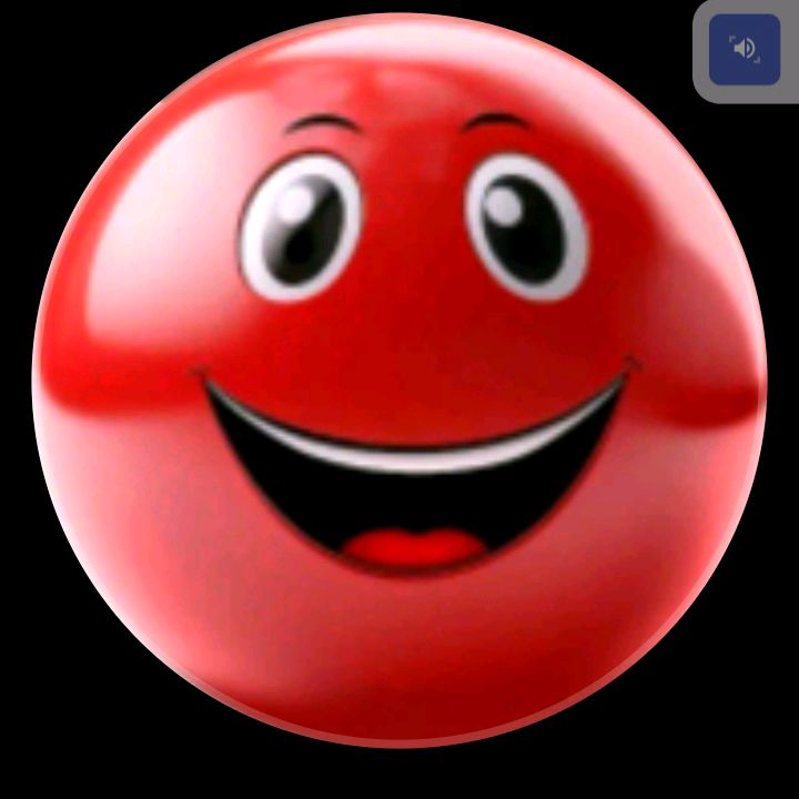 Funny Videos