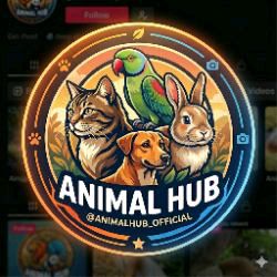 Animal_Hub 🐠