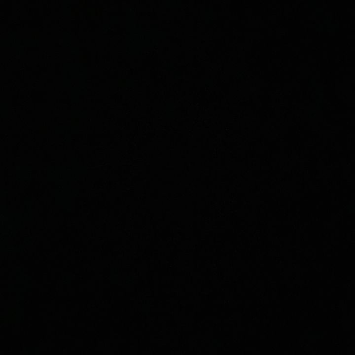 rayevincent4
