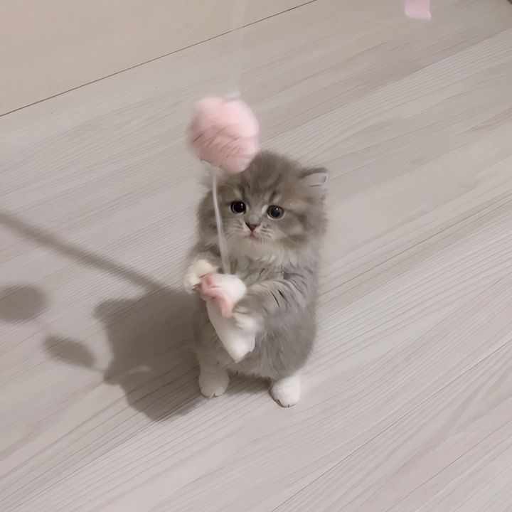 _