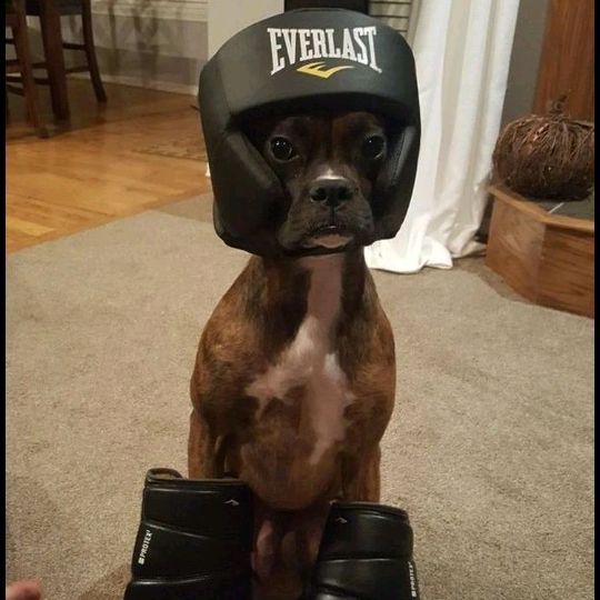 seller