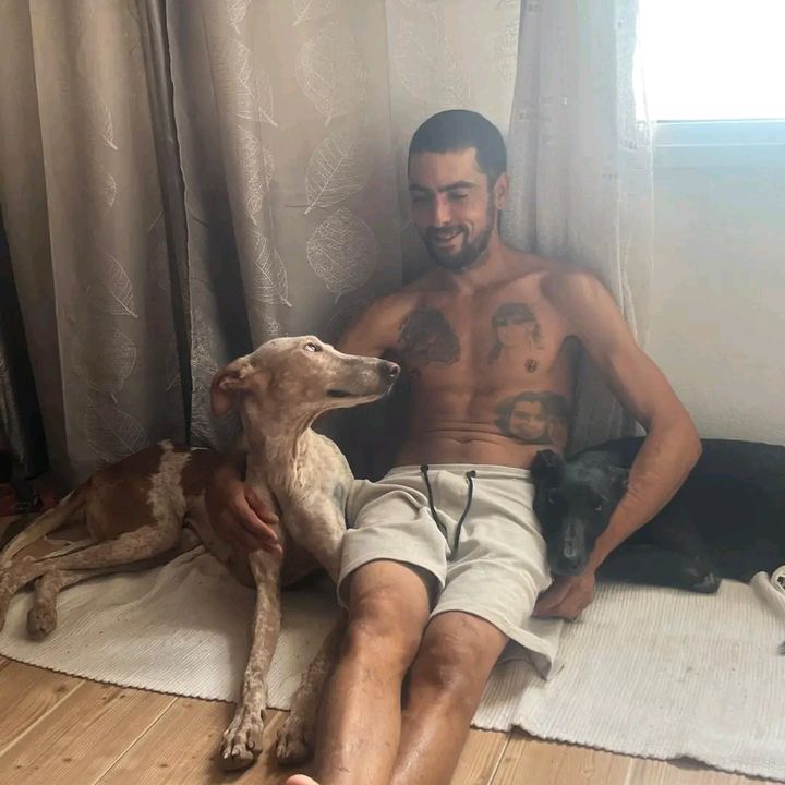 perritos para pasar el rato