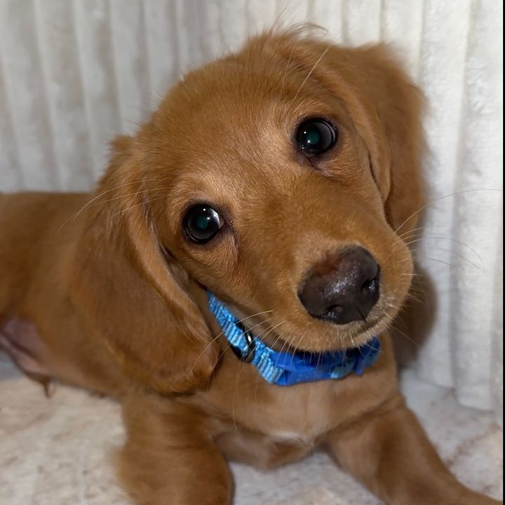 Buttersthewiener 🧈