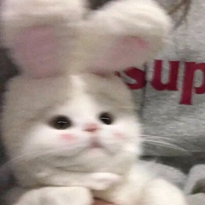 user9693785881769