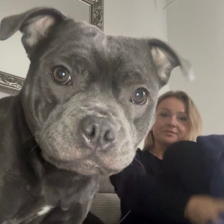 Luna and her hoomans
