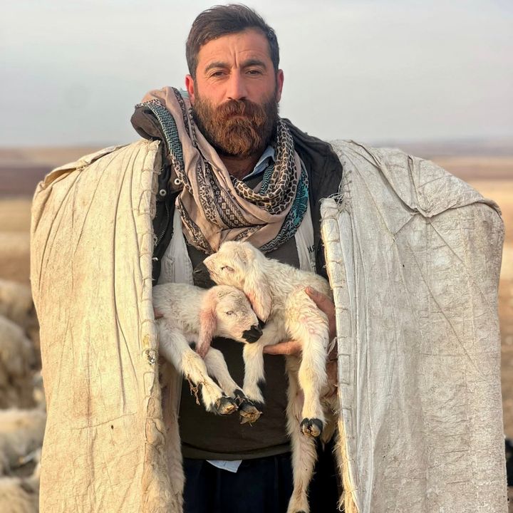 Serdar Kıraç