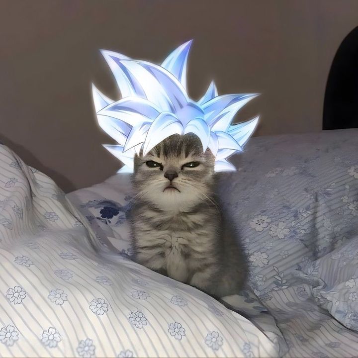 Tập để đánh bại goku 🎖️