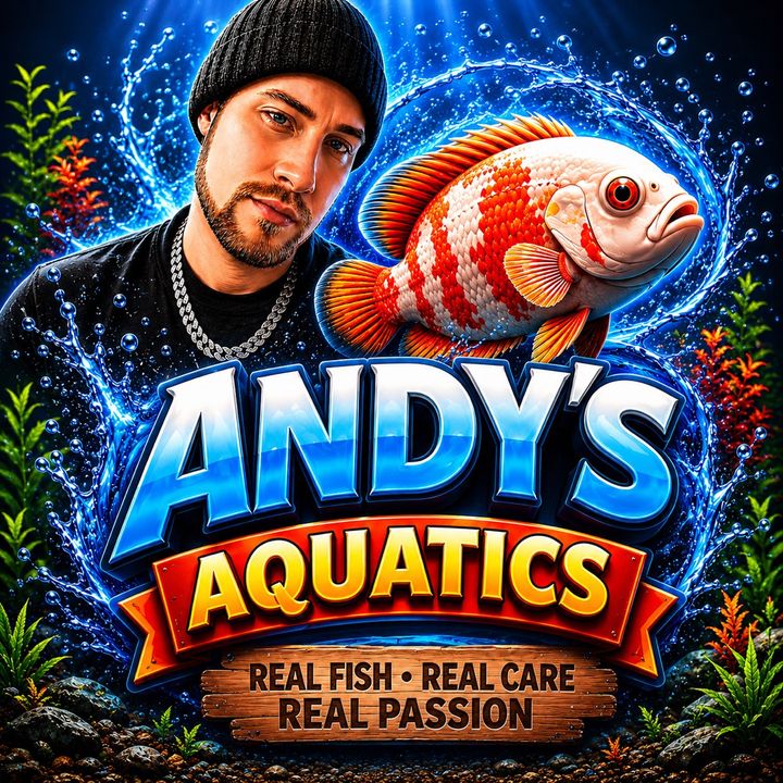 Andy’s Aquatic’s