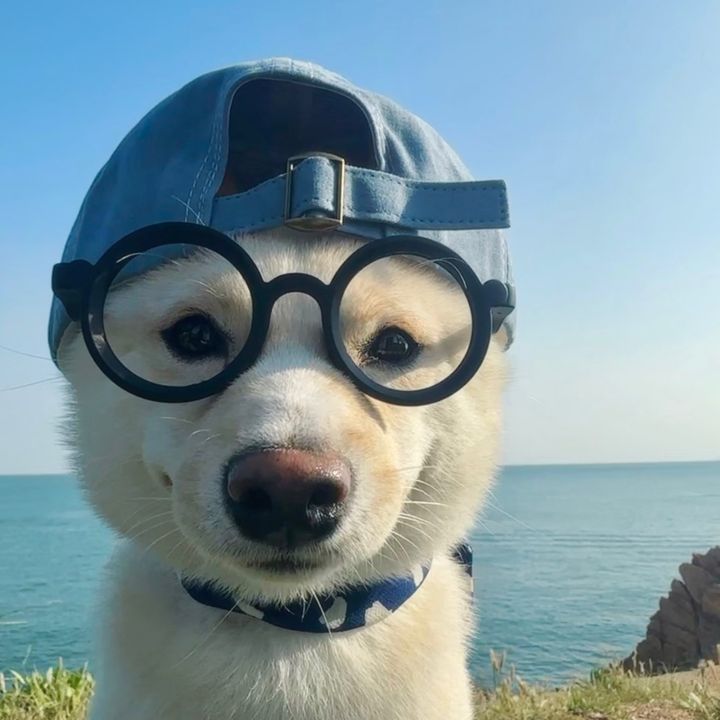 Mateo