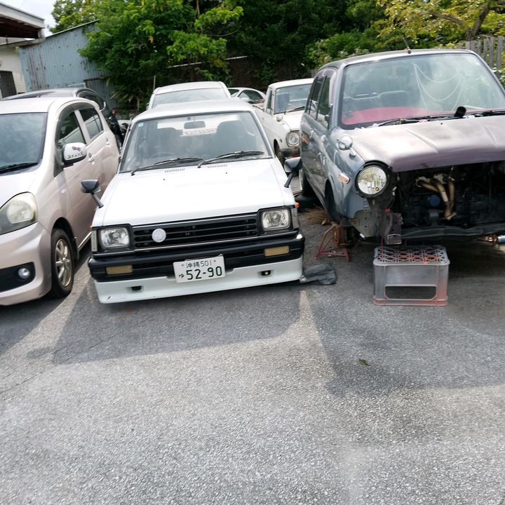 セイシン