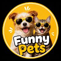 Funny Pets