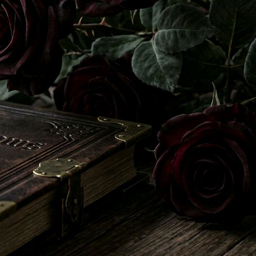✨️📚📖🐛BookWorming 🐛📖📚✨️