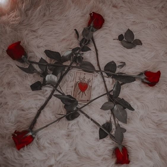 The Love Witches🖤