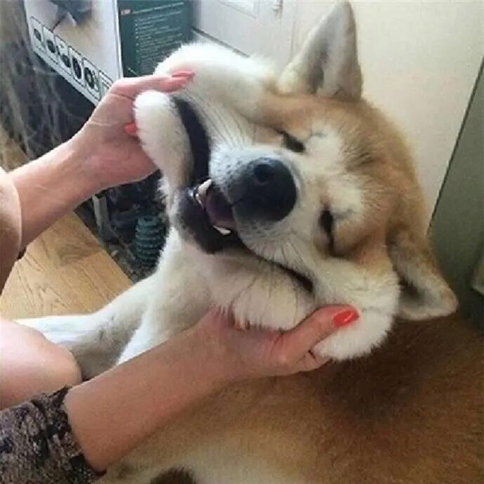 grbdxkxdkl