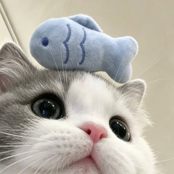 Xnosoendj