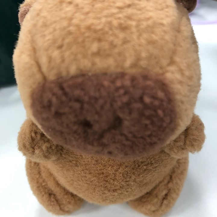 sayryqaz