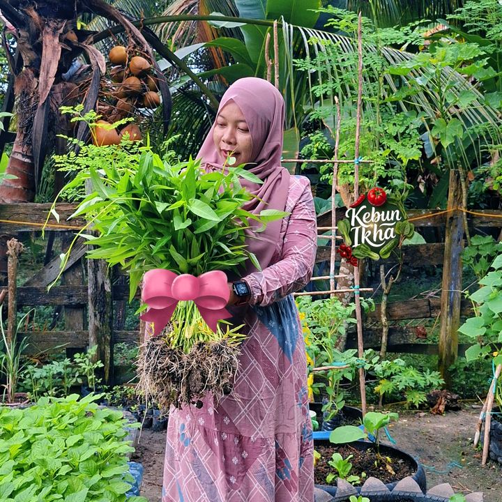Kebun Ikha