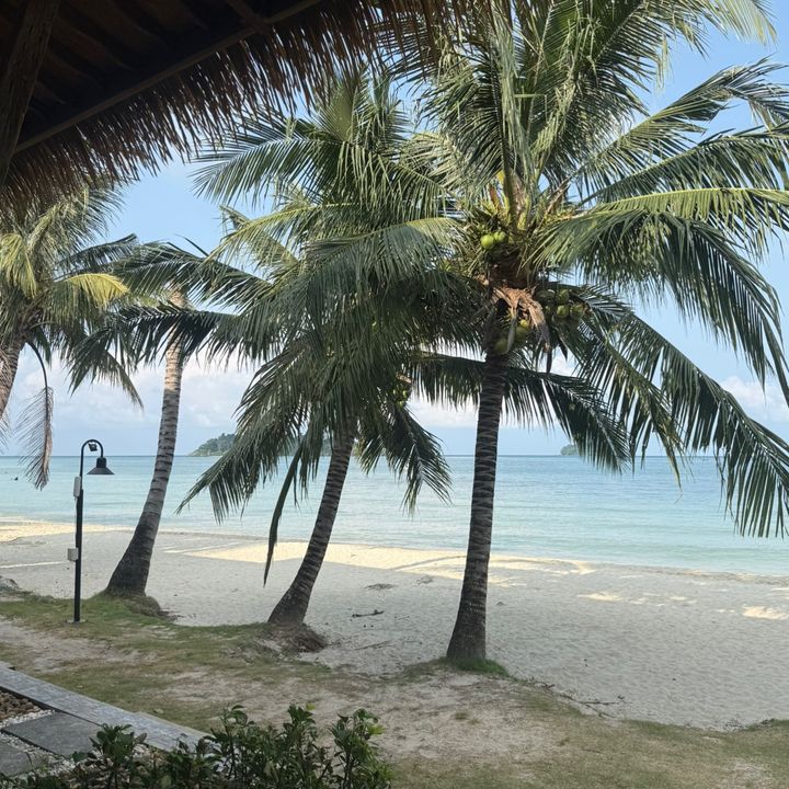 ชาวไร่ชาวสวน