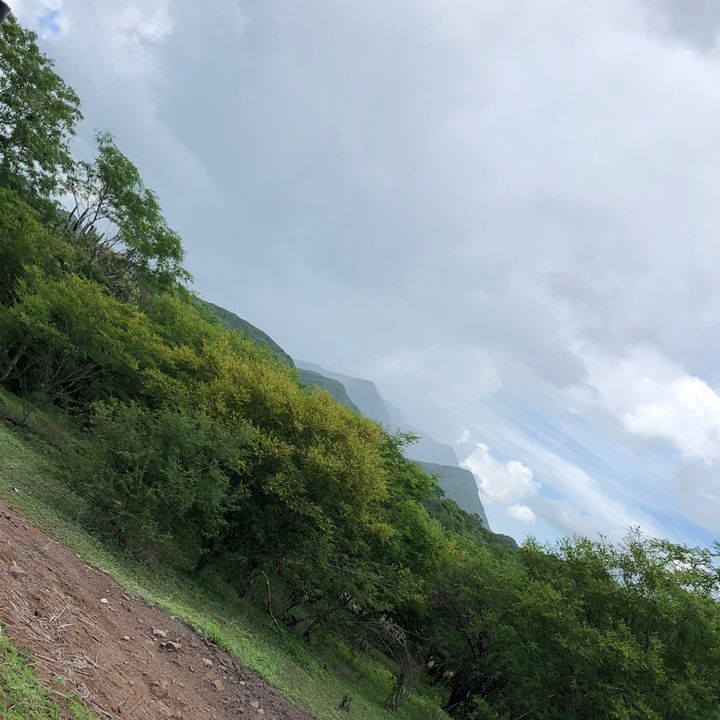 Un poco de campo