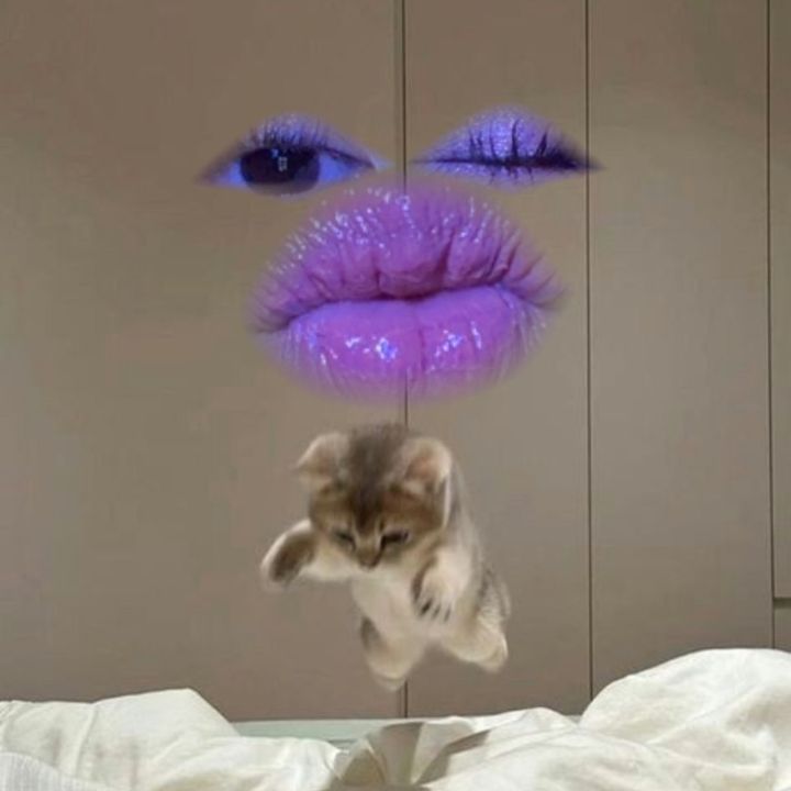 𝒟𝓇𝑒𝒶𝓂𝓎𝑅𝒶𝑒 ✨