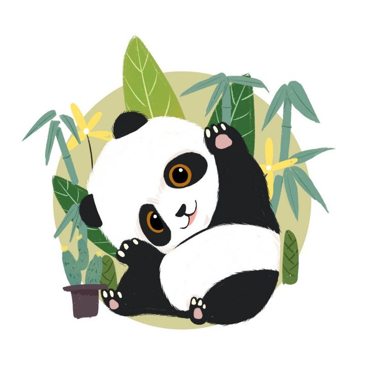 Pandashop🛍️