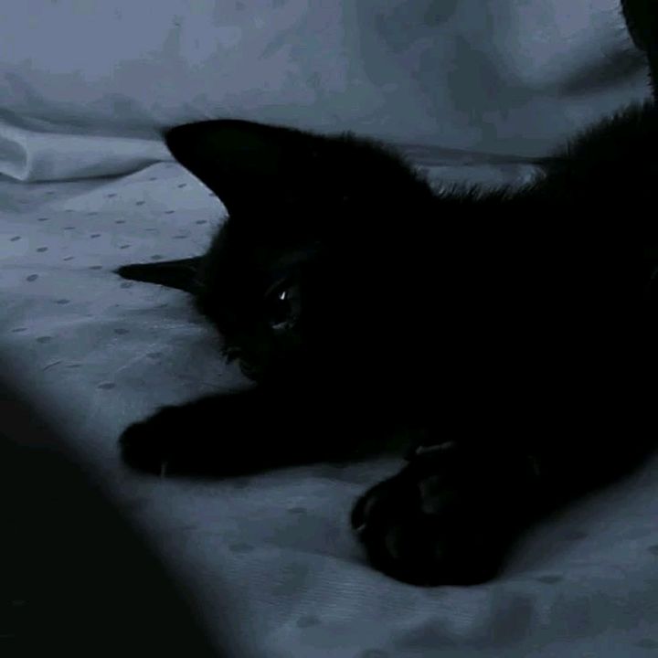 ￴𝘻𝘰𝘬𝘲𝘩