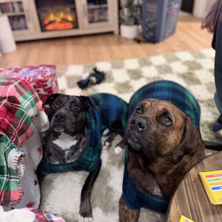 Moose & Roscoe 🫎🐾