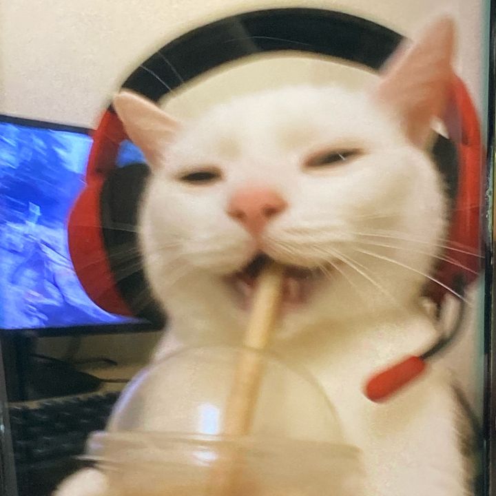 michaelqiong