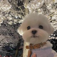 kiuqunhthy83