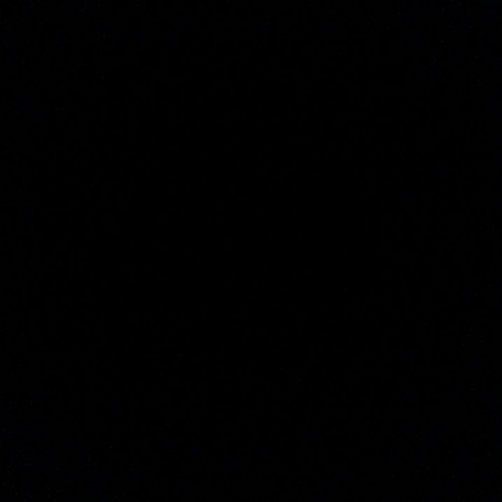 team negro