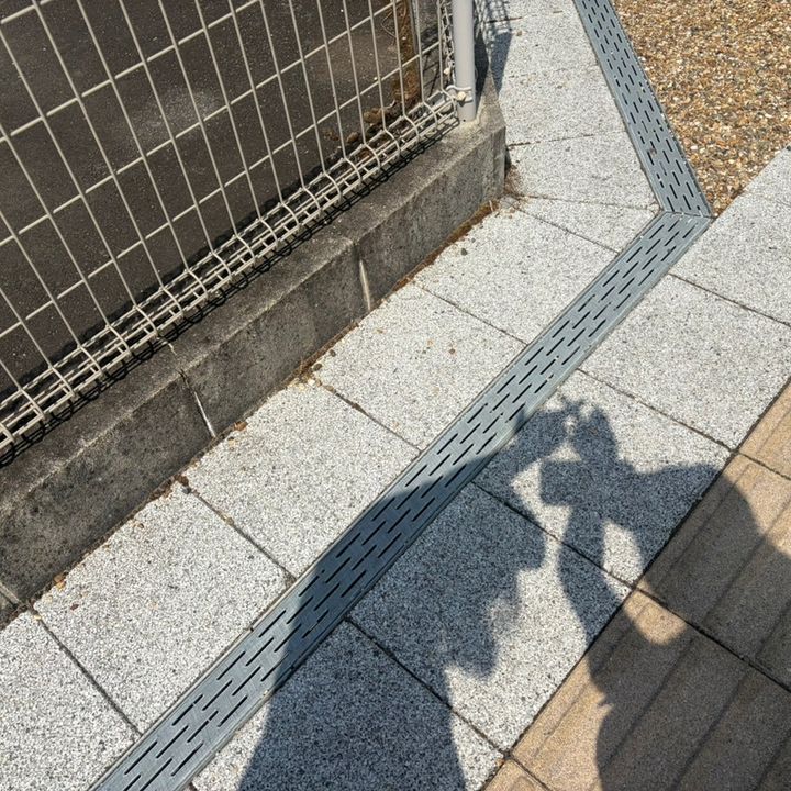 もち
