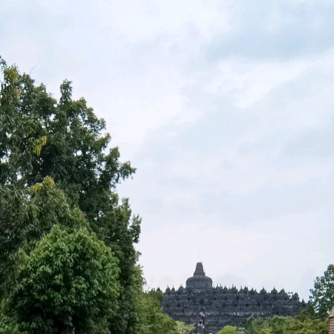 Ani store