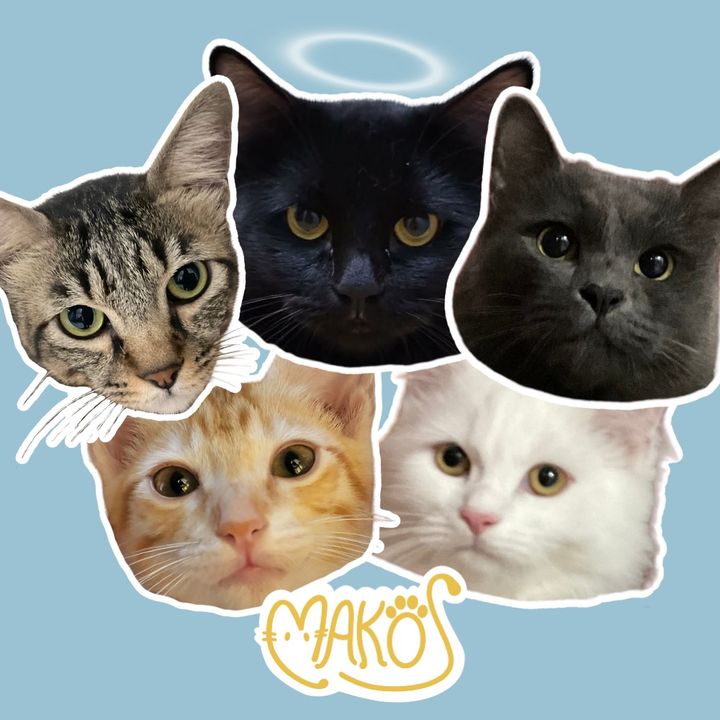 MAKOS