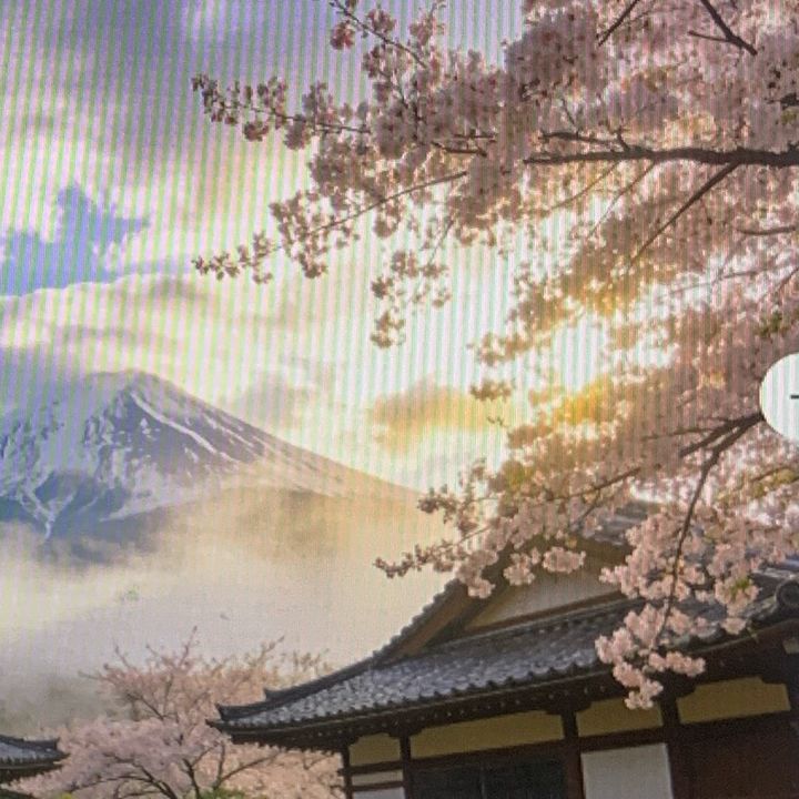 yamasato.akari
