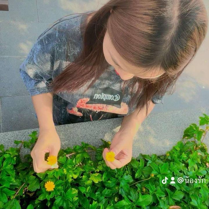 အမွှေစိန်🍓