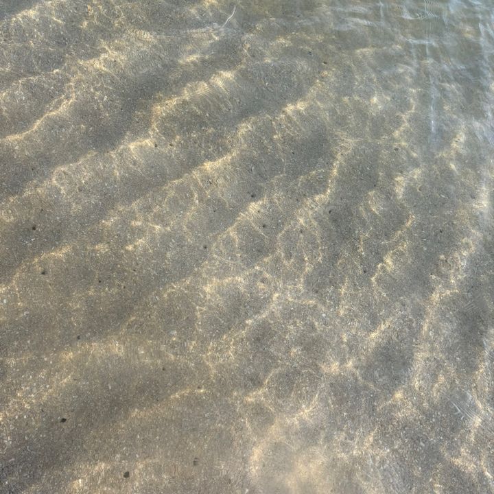 𝕄𝕀𝕆