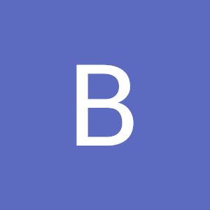 bithyloan306