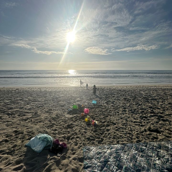 CoastalChoasPicks