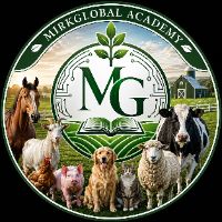 Mirk Global LLC