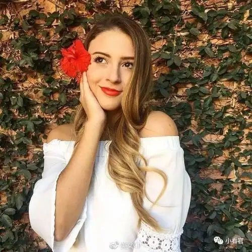 Norma 6